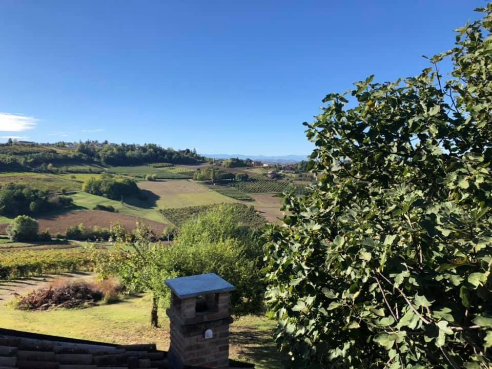 Agriturismo Podere La Piazza Costigliole d'Asti Luaran gambar