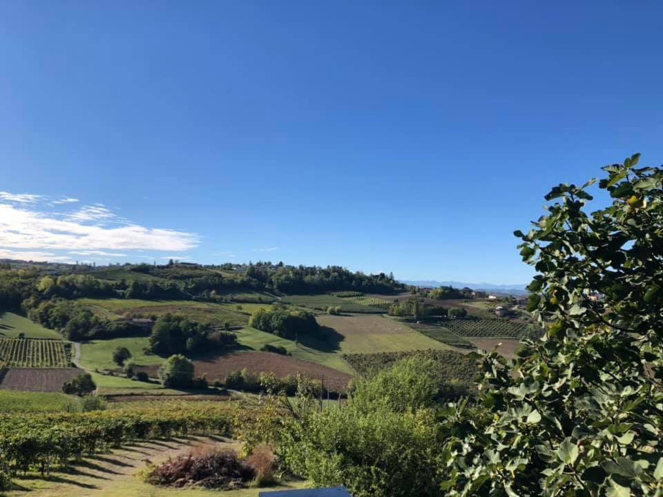 Agriturismo Podere La Piazza Costigliole d'Asti Luaran gambar